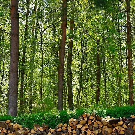 Resort Osrodek Wypoczynkowy Gwarek Mazury Giżycko