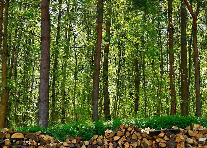 Ośrodek wypoczynkowy Ośrodek Wypoczynkowy Gwarek Mazury Giżycko