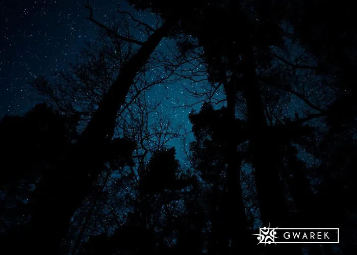 Ośrodek Wypoczynkowy Gwarek Mazury *